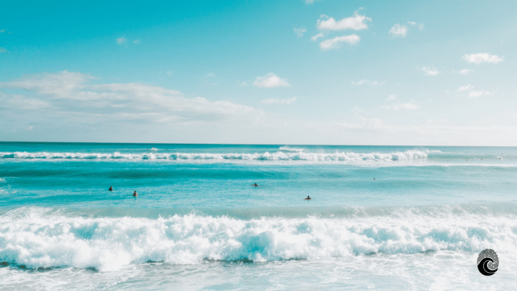 O surfista profissional estuda o Mar para Surfar