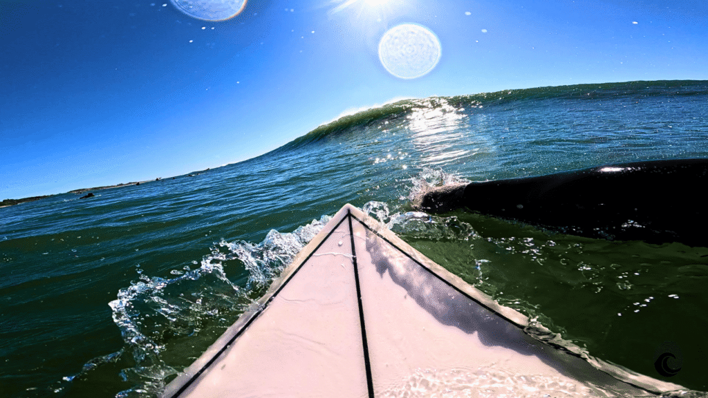 Surf em Floripa: Guia Completo dos Melhores Picos de Surf