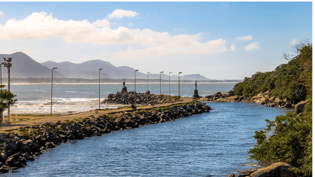 Surf em Floripa: Guia Completo dos Melhores Picos de Surf