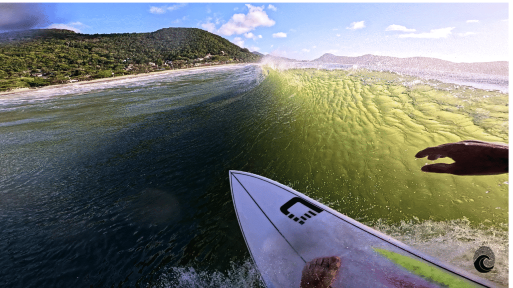 Surf em Floripa: Guia Completo dos Melhores Picos de Surf
