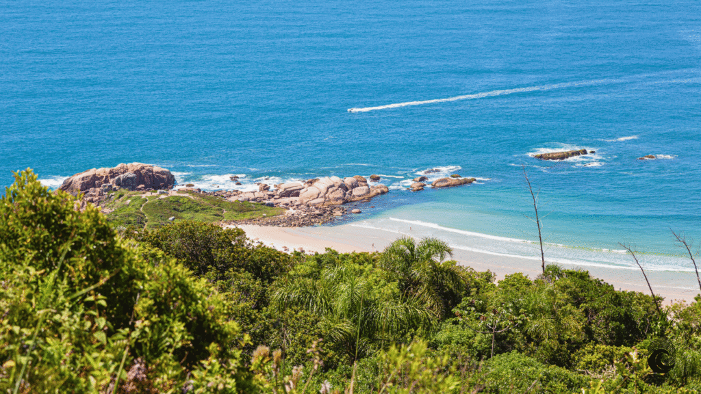 Surf em Floripa: Guia Completo dos Melhores Picos de Surf