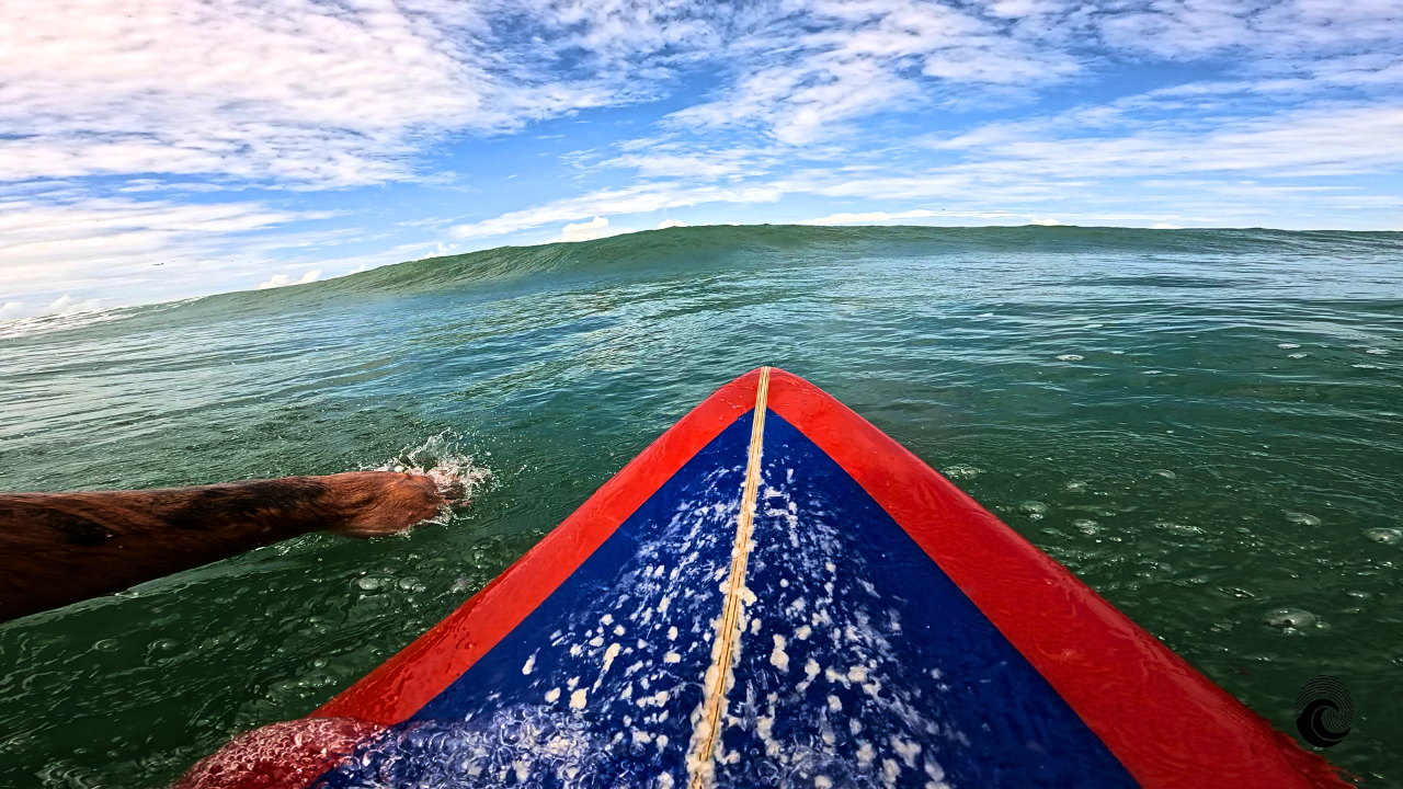 Surf na Lomba do Sabão em Florianópolis: Guia Completo