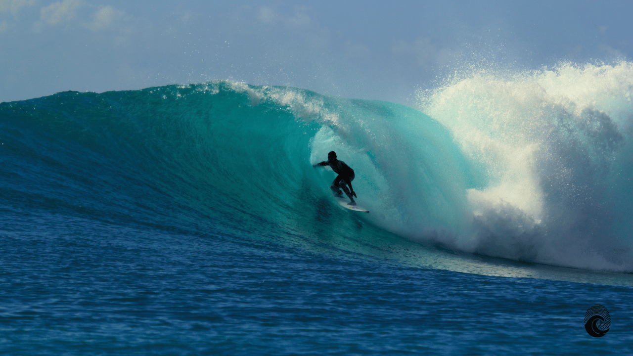 Quanto Tempo Leva Para Aprender a Surfar: O Início no Surf